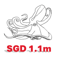 First time my portfolio exceeded SGD 1.1 million